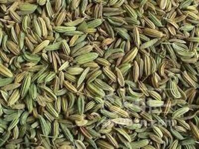 فروش زیره سبز