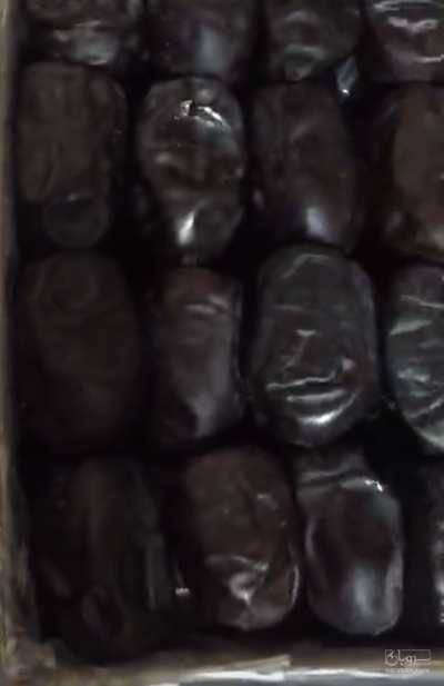 فروش خرما مضافتی