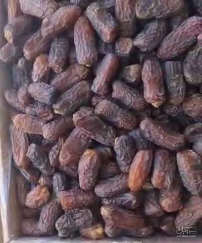 فروش خرما پیارم