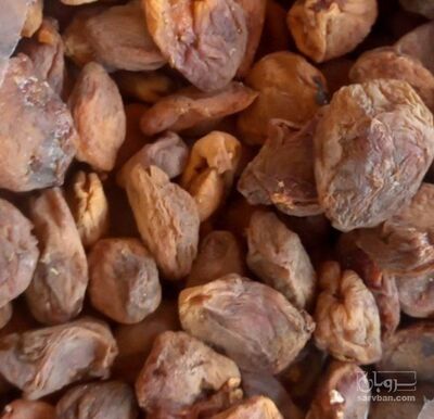 فروش زردآلو قیسی با هسته