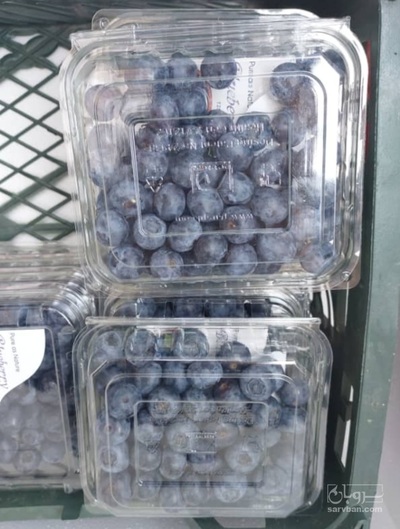 فروش بلوبری