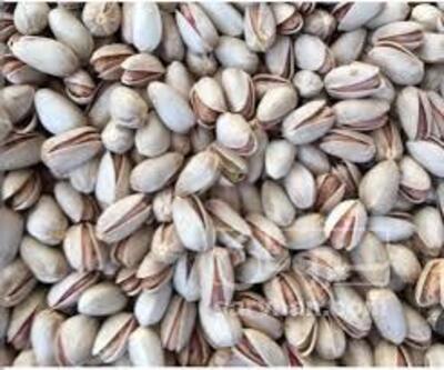 فروش عمده پسته بادامی