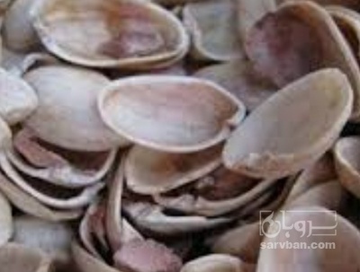 فروش پوست پسته (گیاه‌ دارویی)