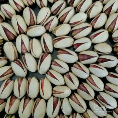 فروش پسته بادامی