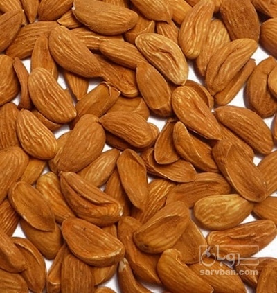 فروش مغزبادام مامایی