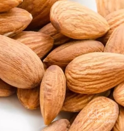 فروش مغز بادام شاهرودی
