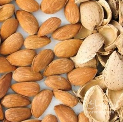 فروش بادام سنگی