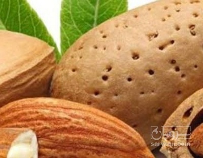 فروش بادام شاهرودی