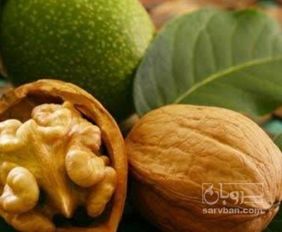 فروش مغز گردو سالم