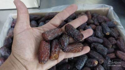 فروش خرما پیارم