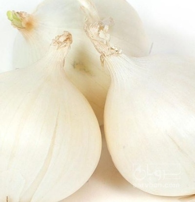 فروش پیاز سفید