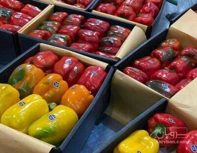 فروش فلفل دلمه ای صادراتی