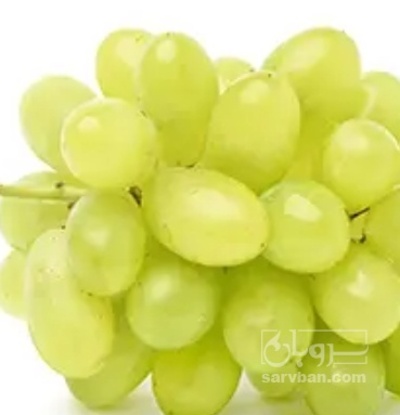 فروش انگور