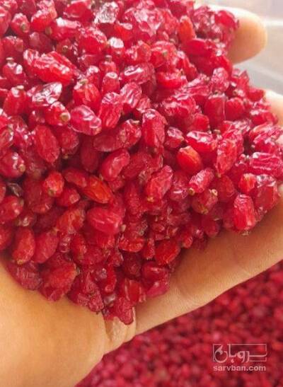 فروش زرشک پفکی