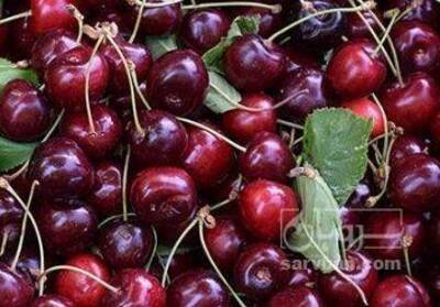 فروش گیلاس خوشه ایی داخلی