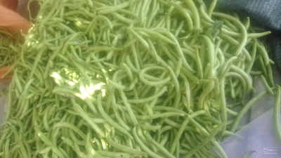 فروش لوبیا سبز