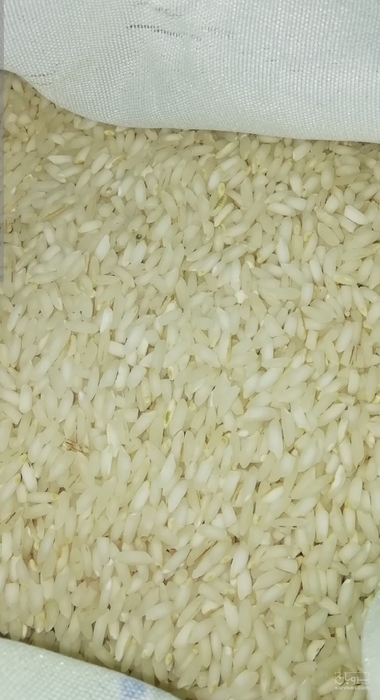 فروش برنج