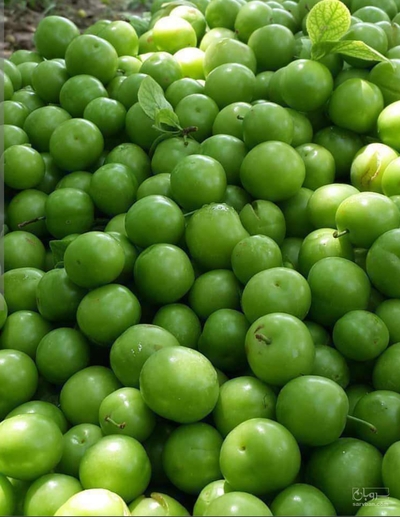 فروش گوجه سبز