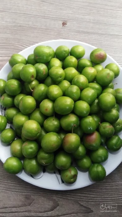 فروش گوجه سبز