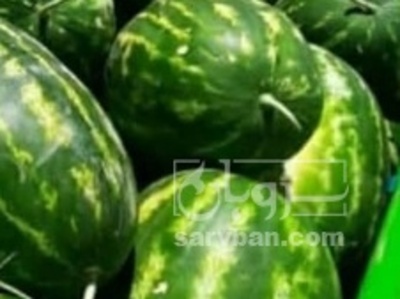 فروش هندوانه