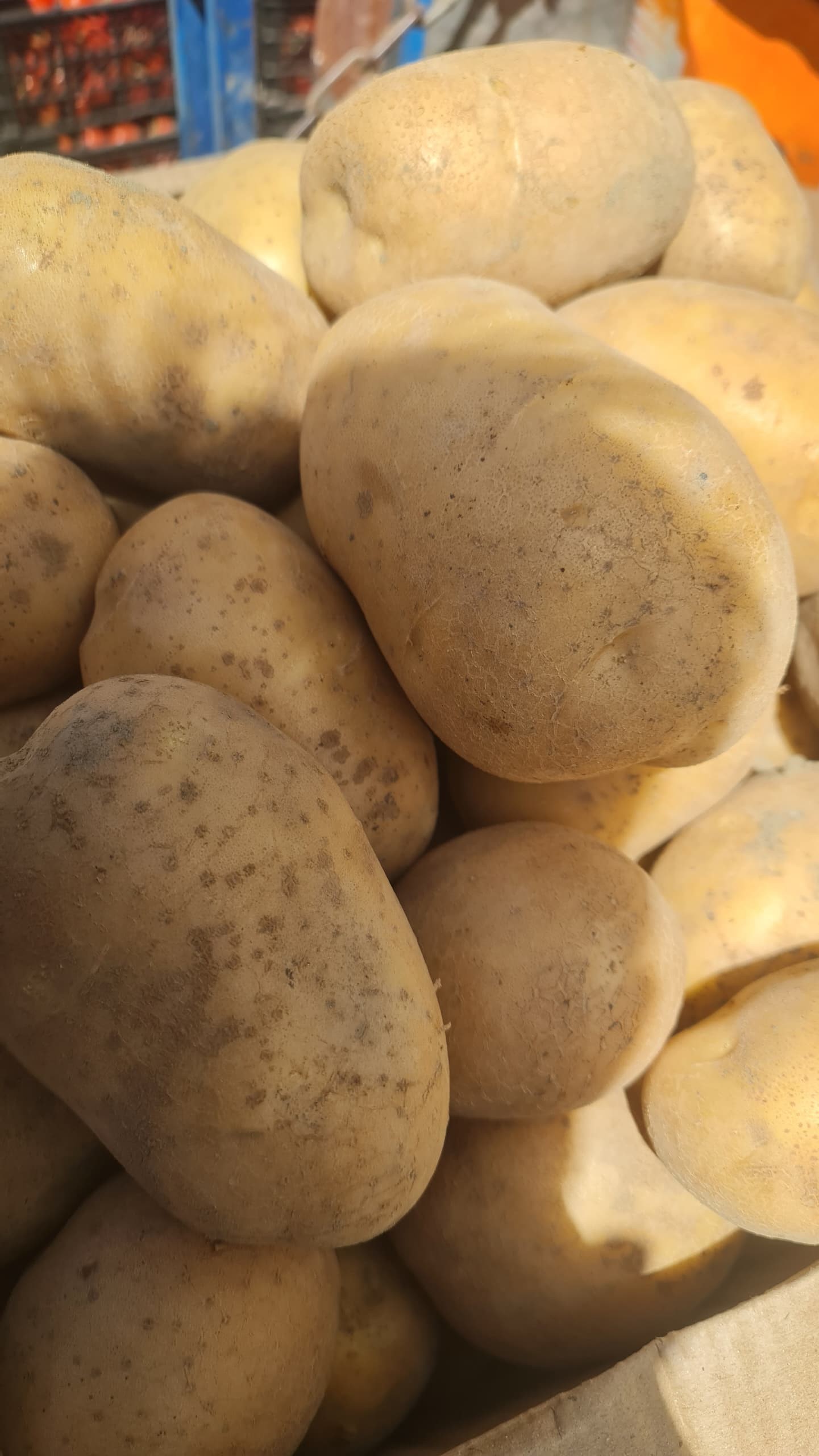 فروش سیب زمینی