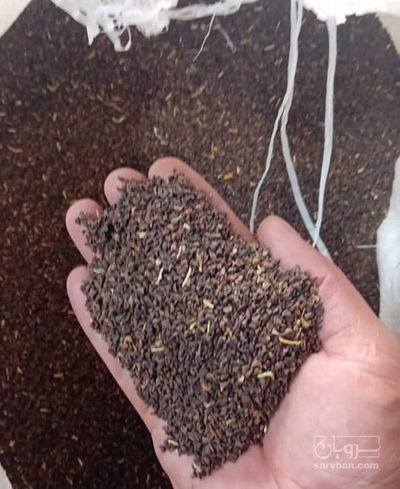 فروش  اسفند