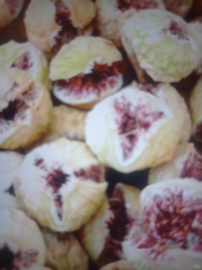 فروش انجیر خشک