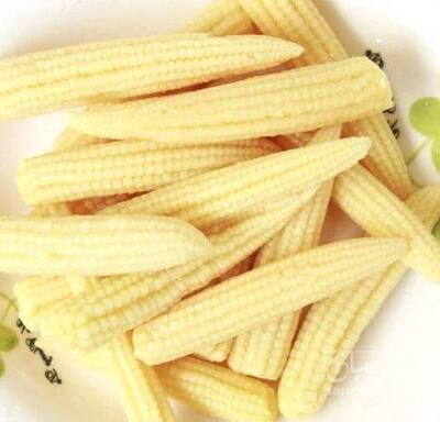 فروش بچه ذرت