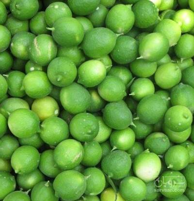 فروش لیموترش