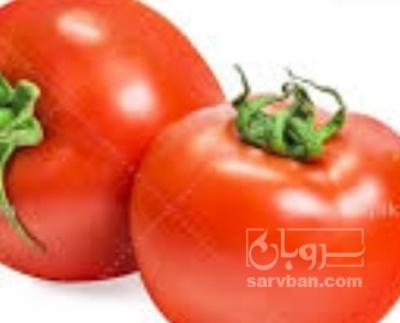 فروش گوجه فرنگی