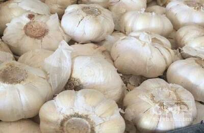 فروش سیرخشک صادارتی