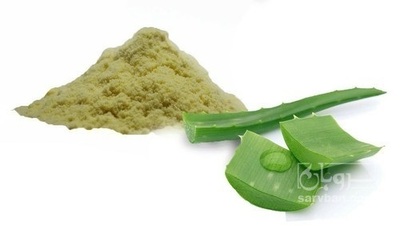 فروش پودر آلوئه ورا