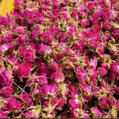 فروش غنچه گل محمدی