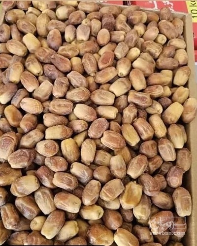 فروش خرما زاهدی