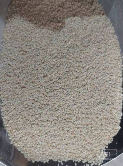 فروش کنجد سفید پوست کنده