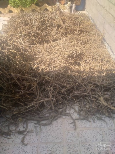 فروش ریشه شیرین بیان