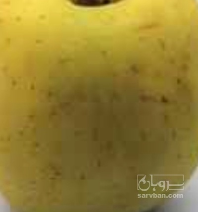 فروش سیب زرد