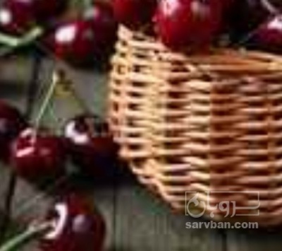 فروش گیلاس