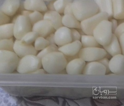 فروش سیر حبه ایی منجمد