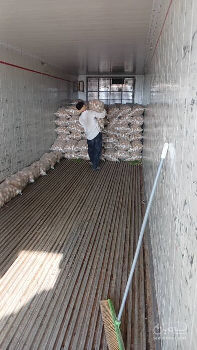 فروش سیب زمینی سیفرا