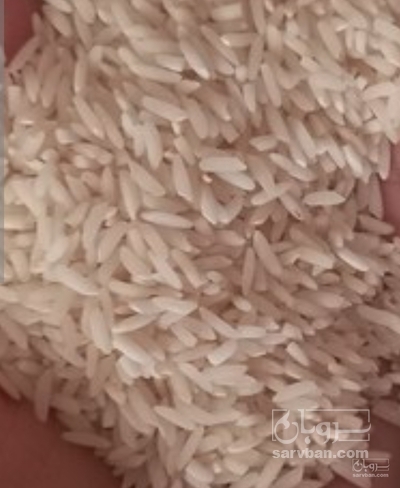 فروش برنج
