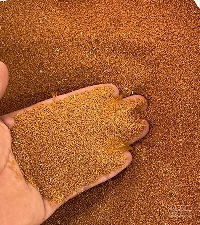 فروش خاکشیر