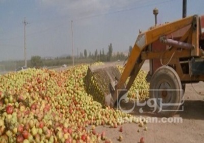 فروش سیب زیر درختی