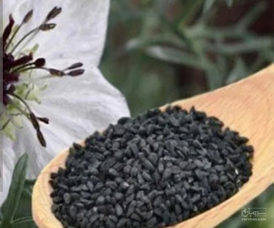 فروش سیاهدانه