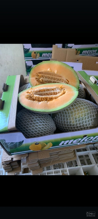 فروش خربزه 2