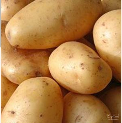 فروش سیب زمینی پا الا