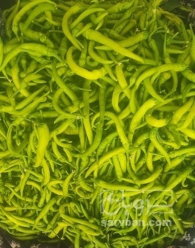 فروش فلفل شمشیری