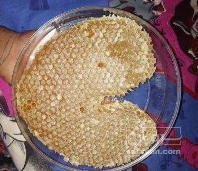 فروش عسل طبیعی