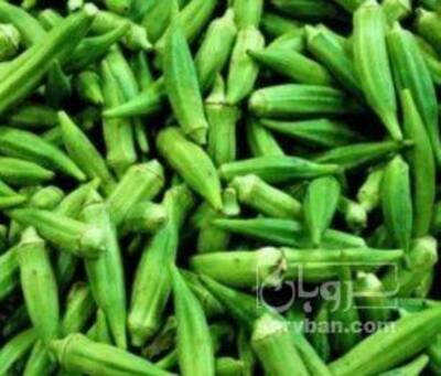 فروش بامیه سبز