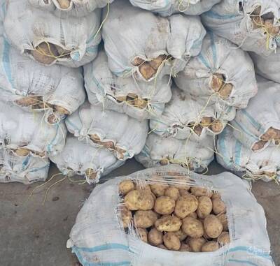 حق العمل کاری زاهدان